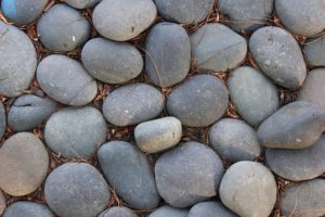 Stone Mulch