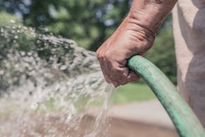 Man holding a hose and watering