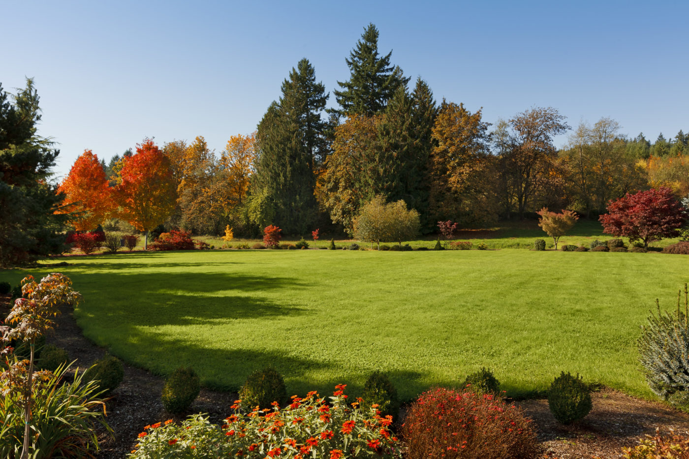 a large, flat yard surrounded by flower beds in the fall