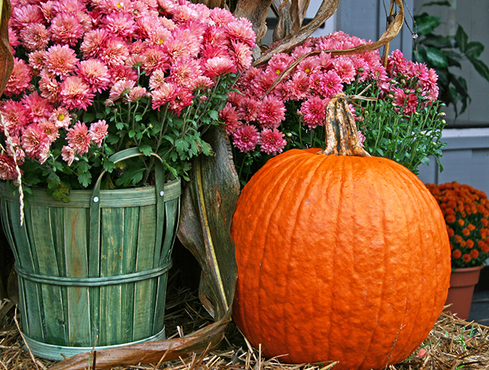 pumpkin, mums, straw and other fall decorations
