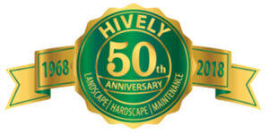 Hively 50th anniversary banner 1968-2018