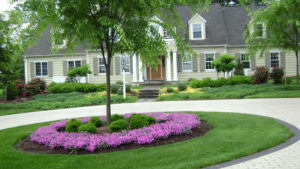 newly installed paver driveway, mulch beds, and trees, shrubs and more