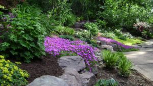 mulch bed, stone retaining wall, and a mix of shrubs and trees