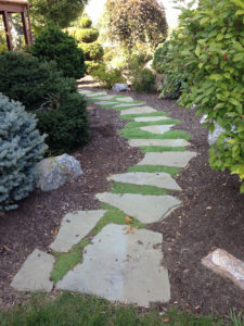 natural stone walkway idea in a mulched bed complete with evergreen shrubs, and more