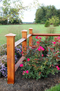 small, decorative, corner wooden fence with roses in the front and small purple flowers and grasses in the back