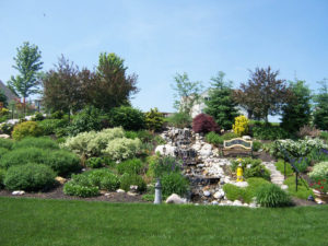 a backyard water feature in a garden on a sloped hill