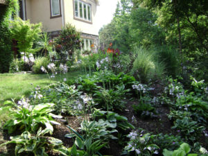 hostas and other flowers, grasses and trees in a bed next to a home