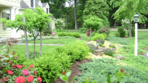 several levels of a garden leading up to a home. trees, boxwood, juniper and other plant material is in the bed