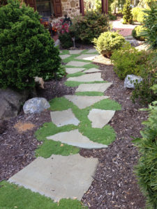 stone steppers leading between a mulch bed with different shrubs
