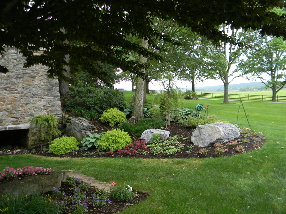 a large mulch bed at the corner of a home. a couple smaller stones, trees and various shrubs are scattered throughout.