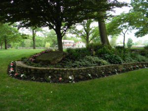 closeup of a raised mulch bed with miscellaneous trees and shrubs planted in and around