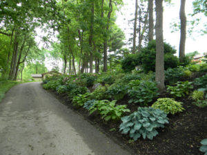 a mulch bed next to a driveway leading towards a home in a wooded area