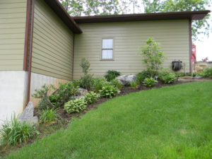 a mulch bed next to a garage. several smaller shrubs and stones are mixed in