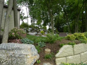 two medium sized mulch beds on a hill. trees and shrubs are mixed in with large stones to help retaining