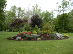 a mulch bed with several large stones, a few trees, and a dozen different shrubs including roses, liriope, and globe arborvitae