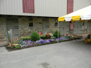 dozens of colorful flowers blooming in a bed next to a barn and tent.