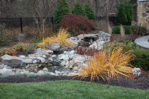 a small pond in a mulch bed surrounded by small grasses and other shrubs