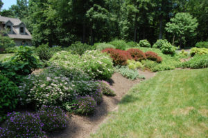 a large flower bed mixed with colorful spirea, barberry and other shrubs