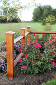 a small wooden fence in a mulch bed with various flowers and roses