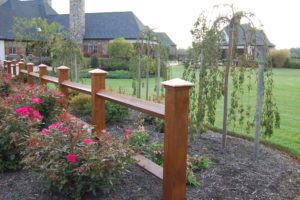 a wooden fence dividing a mulch bed with roses, weeping trees, and other shrubs