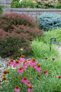 closeup of flowers, grasses, barberry and stone mulch in front of a stone wall