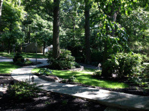stone walk, mulch beds, trees and shrubs