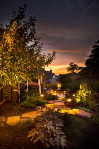 landscape lighting illuminates trees, stone steppers and other areas of a backyard at dusk