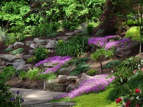 attractive flowerbed on a hill with flowers, stones, and trees mixed in installed by Hively landscaping company