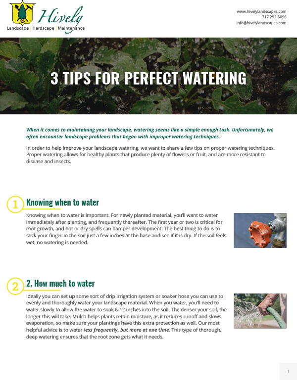 3 tips for perfect water pdf page 1